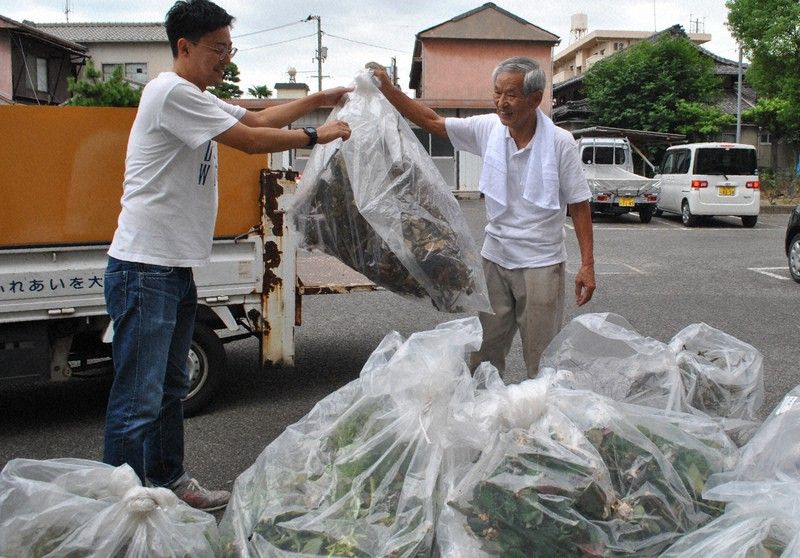 Thu thập hoa hồng Thu thập hoa hồng